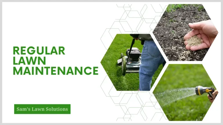 image of regular lawn maintenance - Sams Lawn Solutions